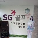 SG대덕스크린골프