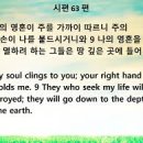 다바크 이미지