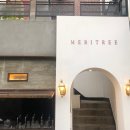 메리트리(meritree) 이미지