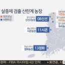 초록당