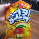 벌써 한 해의 절반을 보내며