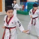 경희대성웅태권도 이미지