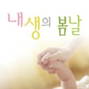 봄날2호점 네이버블로그