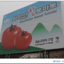 [ 포천 백운산 ] 안산단원골산악회와 함께한 시산제산행사진 이미지