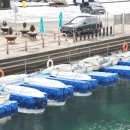 사계절 바다 맛집 이미지