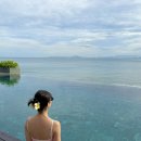 부흥가든 | 베트남 나트랑 미아리조트 가든뷰룸 / 수영장 / 조식 후기