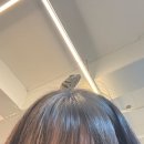 [원주 카페] 보스 플레이스 / 파충류 카페 아기 음료 있음 분양 가능 체험 가능