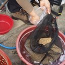 금산한국농장 이미지