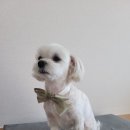 하이얀미용실 이미지