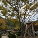 아름다운 산골 Daum카페
