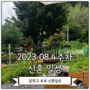 교재 일러스트 | 결혼식👰‍♀️ | 글램핑🏕️ | 슈퍼블루문🌕 (2023년 8월 4주차)