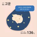 이수영피자 이미지