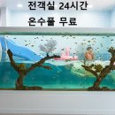 베스트 키즈풀 이미지
