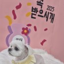 멍미용 이미지