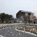 아산시생태곤충원 | 겨울 나들이 추천! 아이들과 함께한 아산시 생태곤충원 솔직 후기