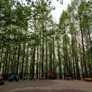 형제불고기 이미지