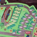 홍천강 자라바위 오토캠핑장 이미지