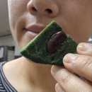 떡집 맛집 추천 희망이샘솟는떡집 콩쑥개떡