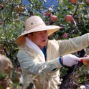 성주군청 이미지