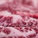 세화문경약돌한우 이미지