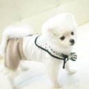 제이피앤피