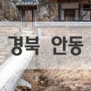 미스터짹