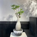 가좌근린공원 | 서울 연희동 CONKR 벌크마켓 방문 후기