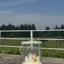 찬수목장 이미지