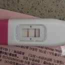 더미즈병원 이미지