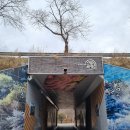 세량제 | 광주근교가볼만한 곳, 화순 11경 화순 세량제 화순 꽃강길 음악분수