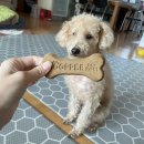 오늘까까 이미지