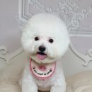 사림동253 이미지