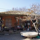 텃밭민박 이미지