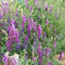 청고을농장 이미지