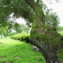 동부2리 이미지