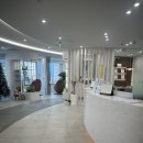 동래리더스치과의원 | 동래치과 약해진 잇몸을 재건 후기｜잇몸치료와 잇몸수술(엠도게인)과정과 변화