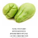 차요테 볶음,깍두기 이미지