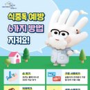 양양어린이집 이미지