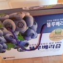 한들벌블루베리
