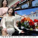보보스디스플레이 이미지