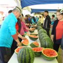 아라 일출 이미지