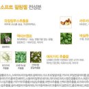 레몬소프트 이미지