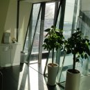 이지마디척척의원 이미지