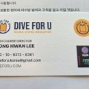 다이브윙스