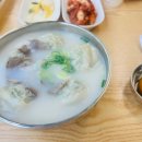 홍성본가칼국수