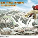 대명리조트회원권 으로 겨울철 레포츠 스키 걱정 끝! 이미지