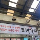 모녀가리비 이미지