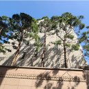 서초대로33길 84-5 이미지