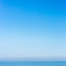 감정체육관 이미지