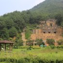아랫대티 숲 Daum카페